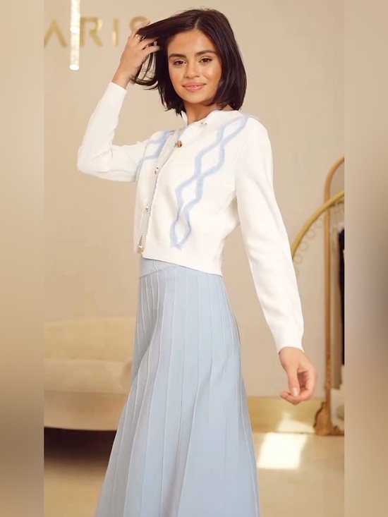 Aleeza Paris Dresses & Skirts - Aleeza Paris Midi Skirt